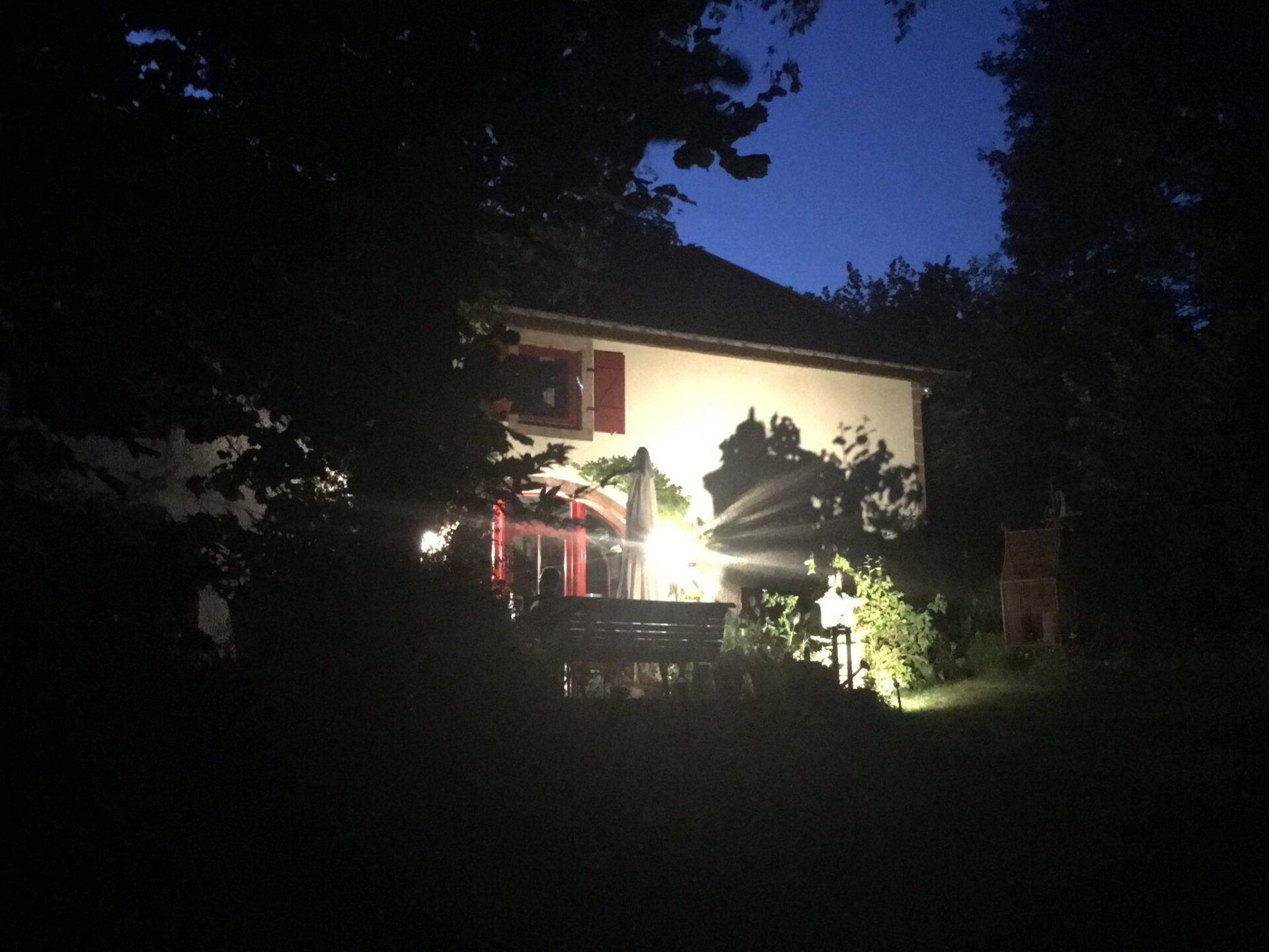 Une végétation extraordinaire