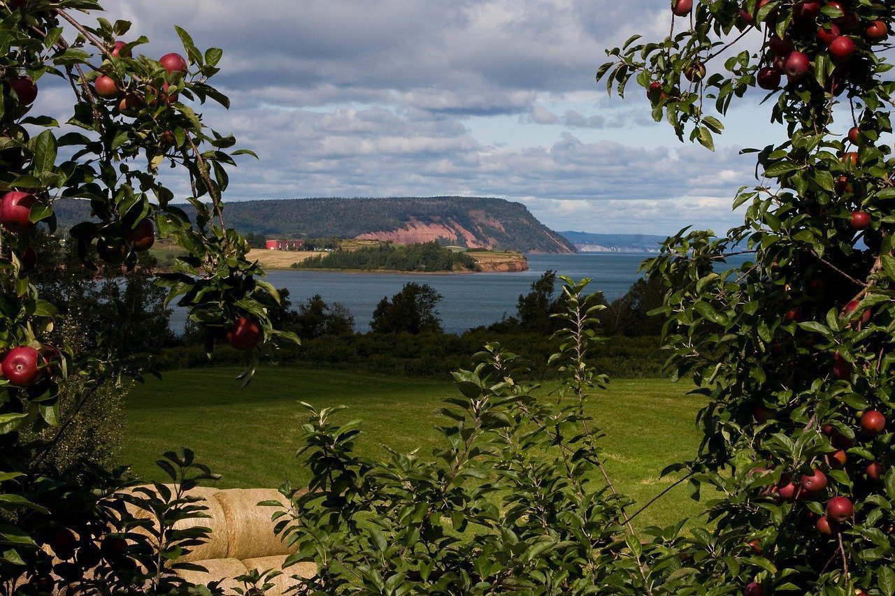 Baie de Fundy