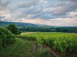 Un séjour en Bourgogne-Franche-Comté