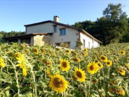La Mariette : une maison d’hôte pleine de charme pour vos week-ends romantiques !