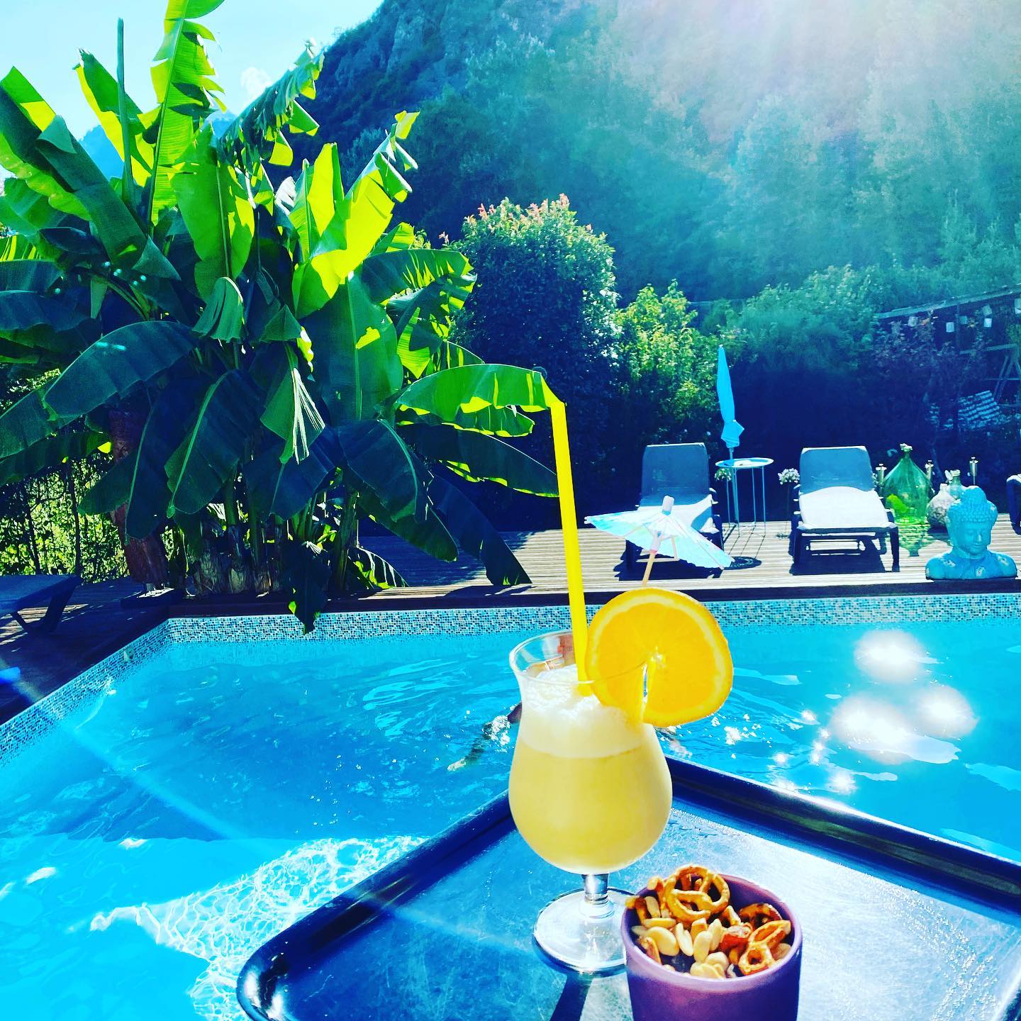 Profitez de la piscine et des services proposés par cette maison d’hôte !