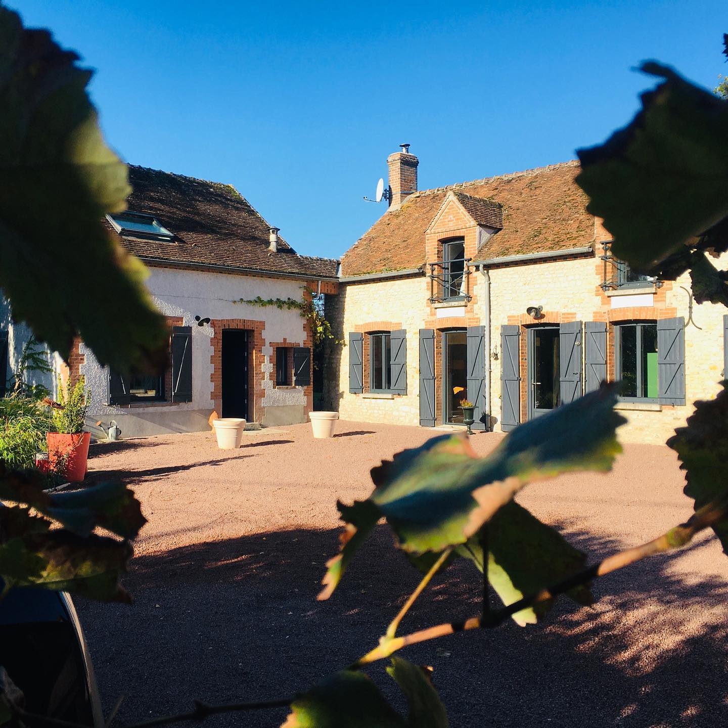 244205415_113757934397461_5051452036937984514_n