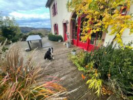 Chambre d’hôtes La Colline aux loups : passez un séjour incroyable au cœur des Vosges !