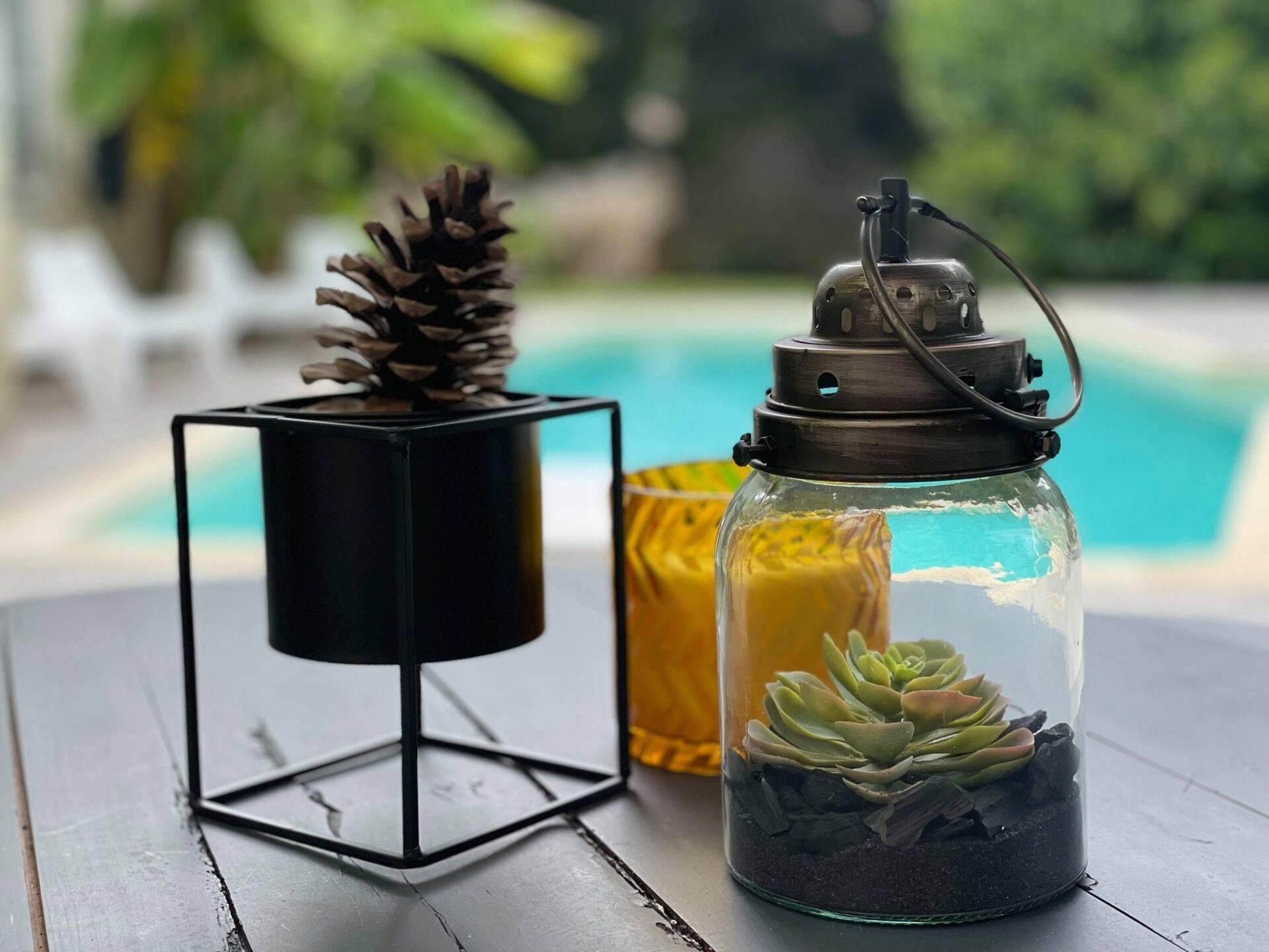 LESPAL – PISICINE 2