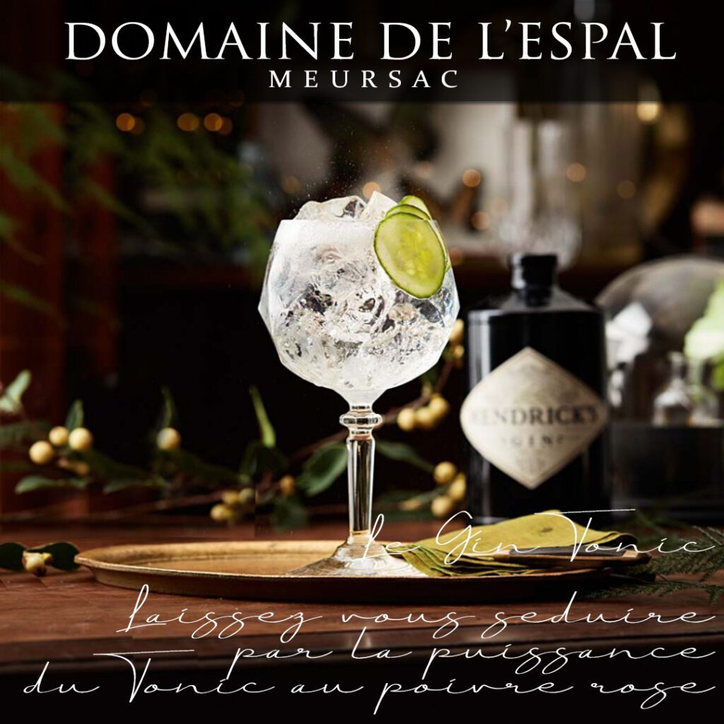 Le Gin Tonic du DOMAINE DE LESPAL