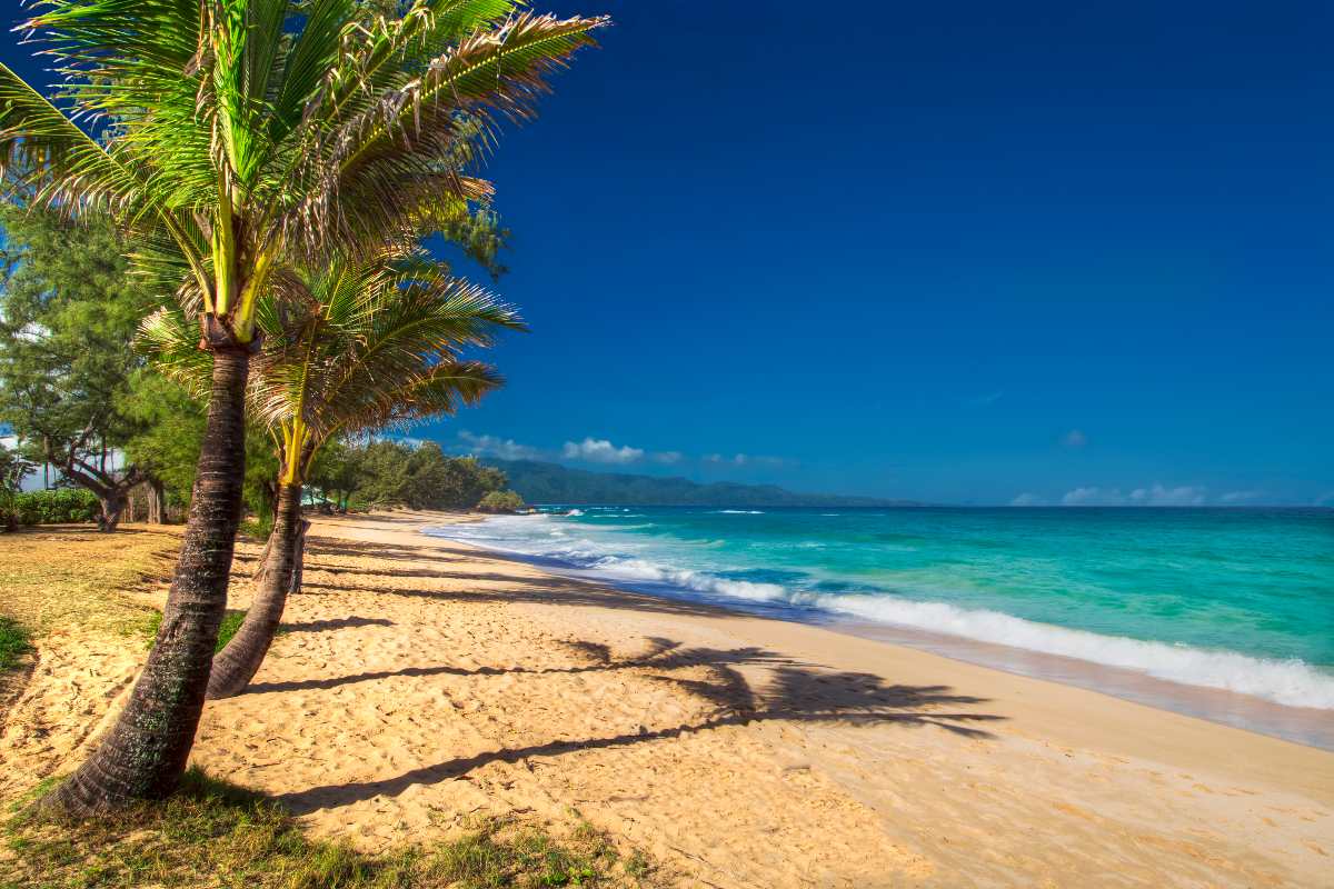 Les plages de Maui