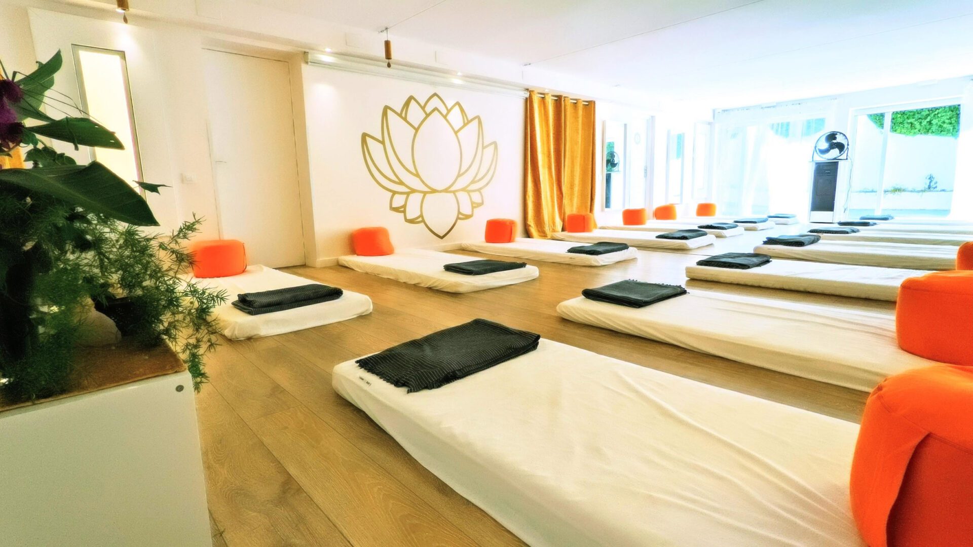 PXL_20210818_155057471~4