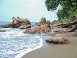 Partir à l'aventure au Gabon