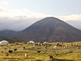 Partir à l'aventure de la Mongolie