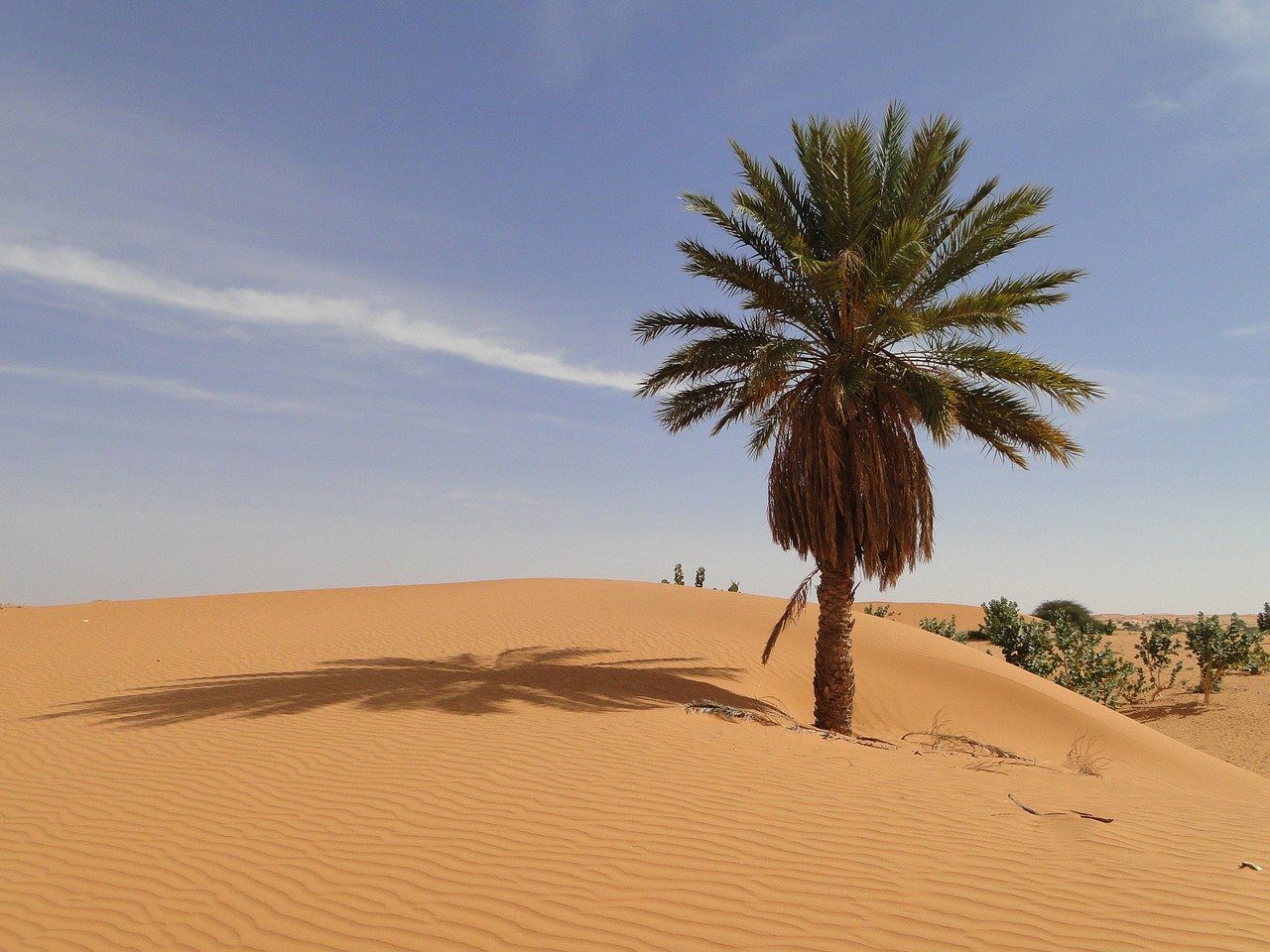 Tourisme en Mauritanie