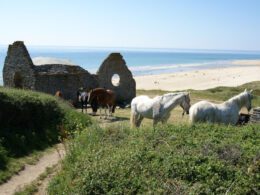 Une visite de Grosville et ses alentours