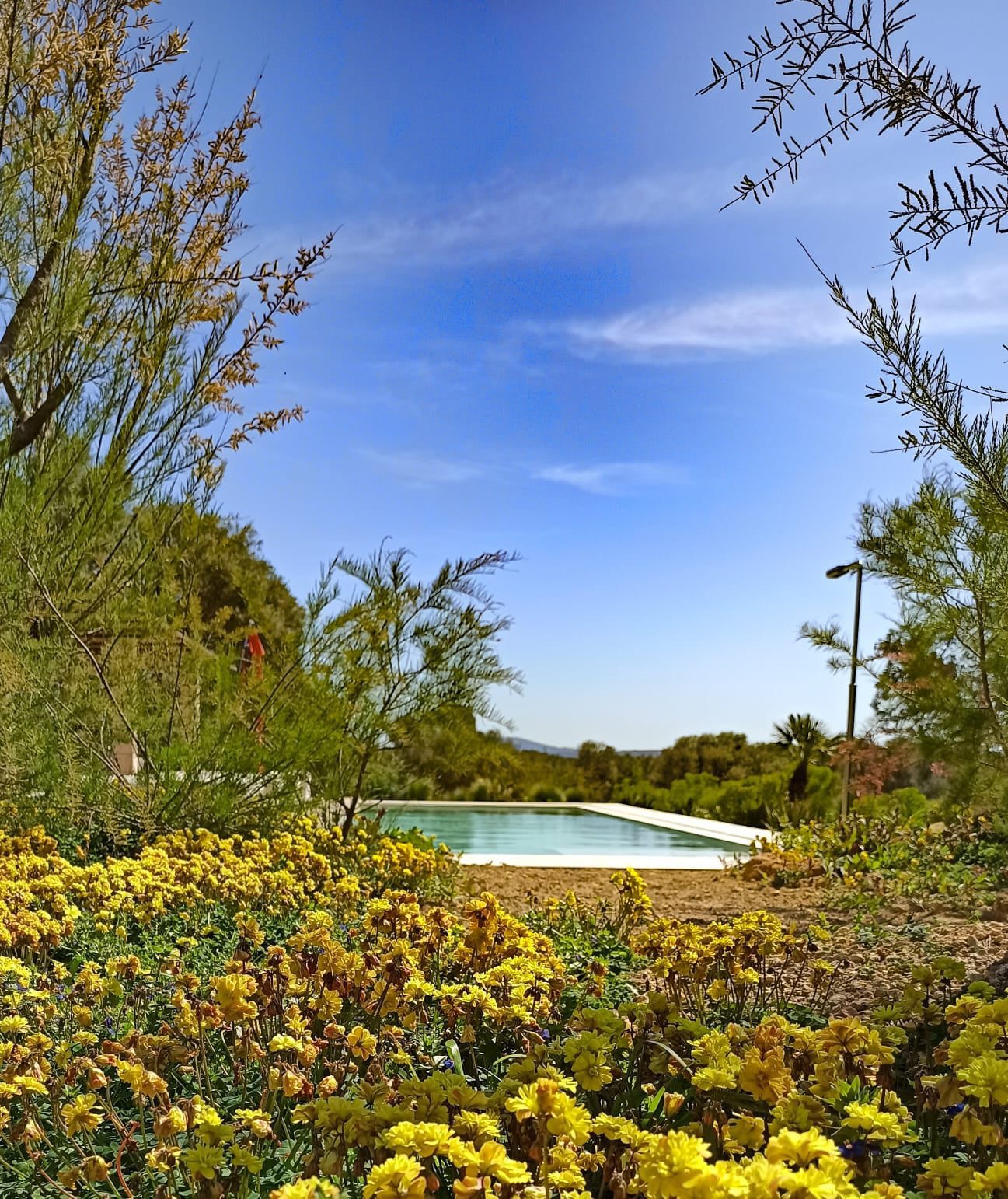 278250079_323238169797790_6476183062446972716_n