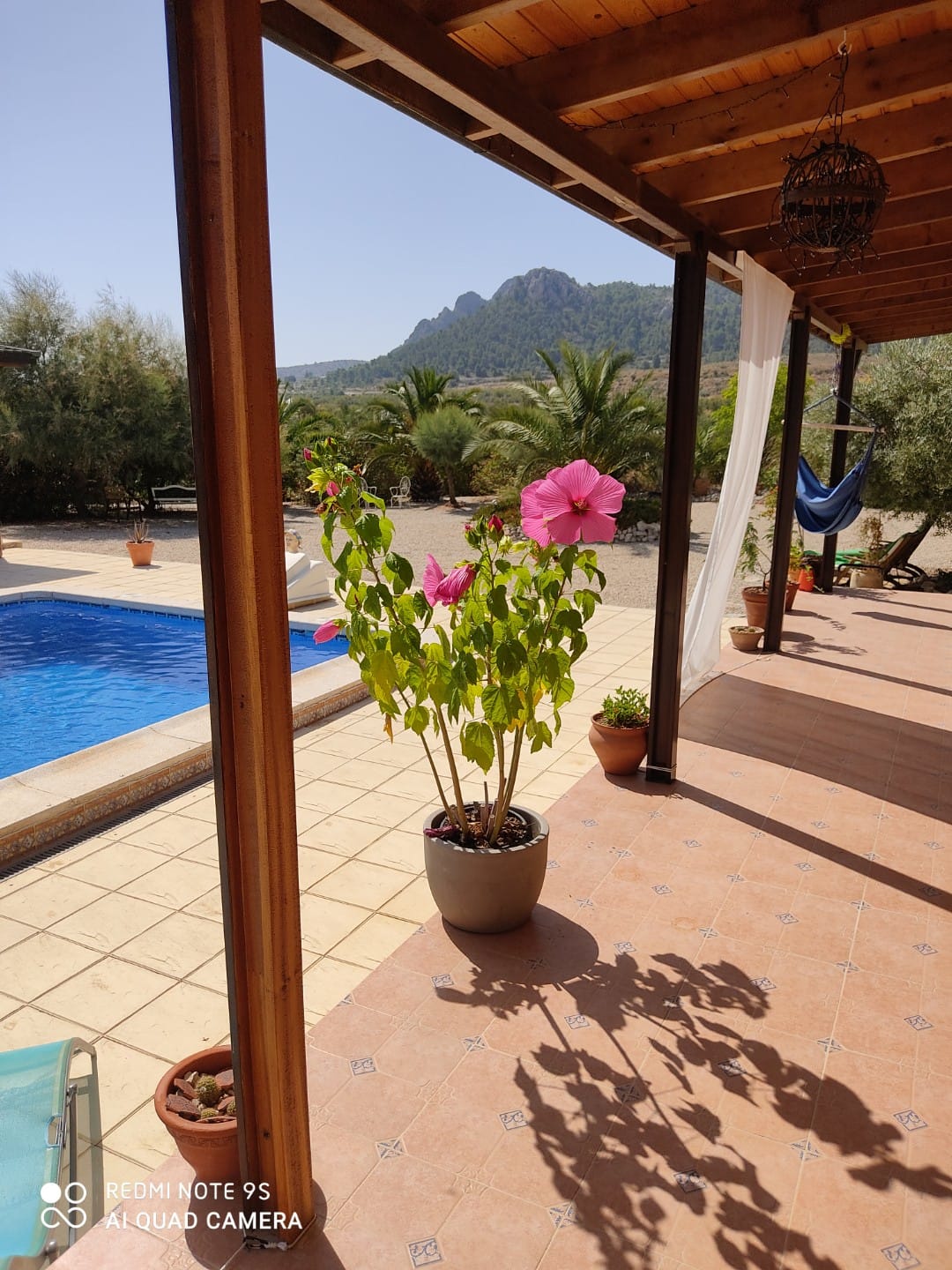 271881138_101256939129005_4887571523367547717_n