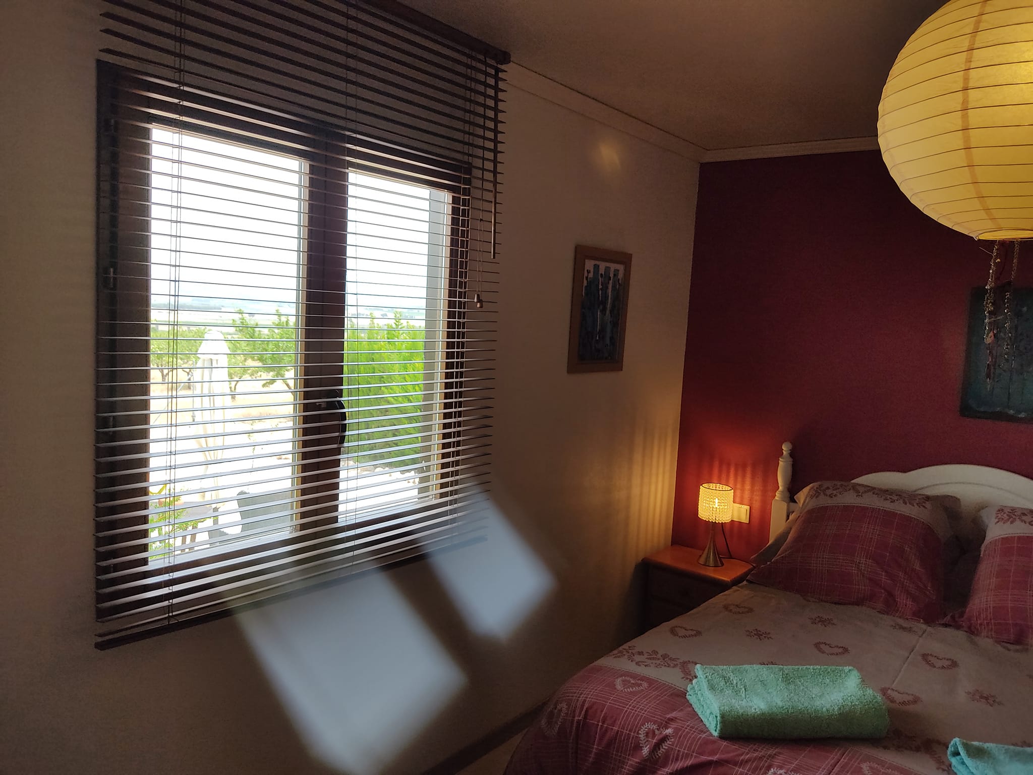 288096345_154844440436921_8310734864187357846_n