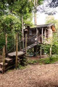 91c453_52b89fa6d7824270b78d1f1acadba504_mv2