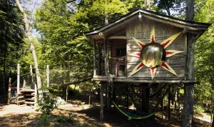 91c453_920c07693e7f468697bd1f27d26c7dda_mv2