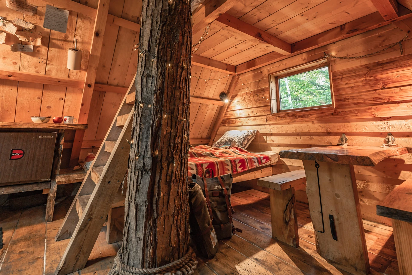 91c453_999f50664dac4116b23261400ba91c24_mv2