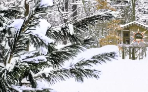 91c453_ae9ec2d0865e4bba9c2ba116e3aa869f_mv2