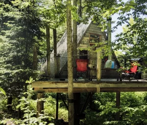 91c453_aee823eaacb046d692f8f7ff231b4db7_mv2