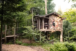 91c453_b47236bbed99441c9ff0cc1e82405737_mv2