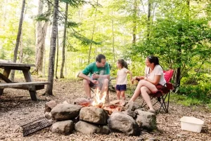 91c453_c43d9d4e9180420b8159aa49b07265ee_mv2