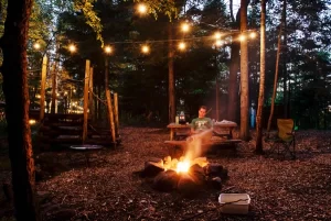 91c453_d3b8d0f8db7142c0b945d8e249355c45_mv2