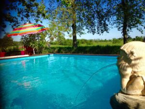 298805239_479154254214654_543231491729148331_n