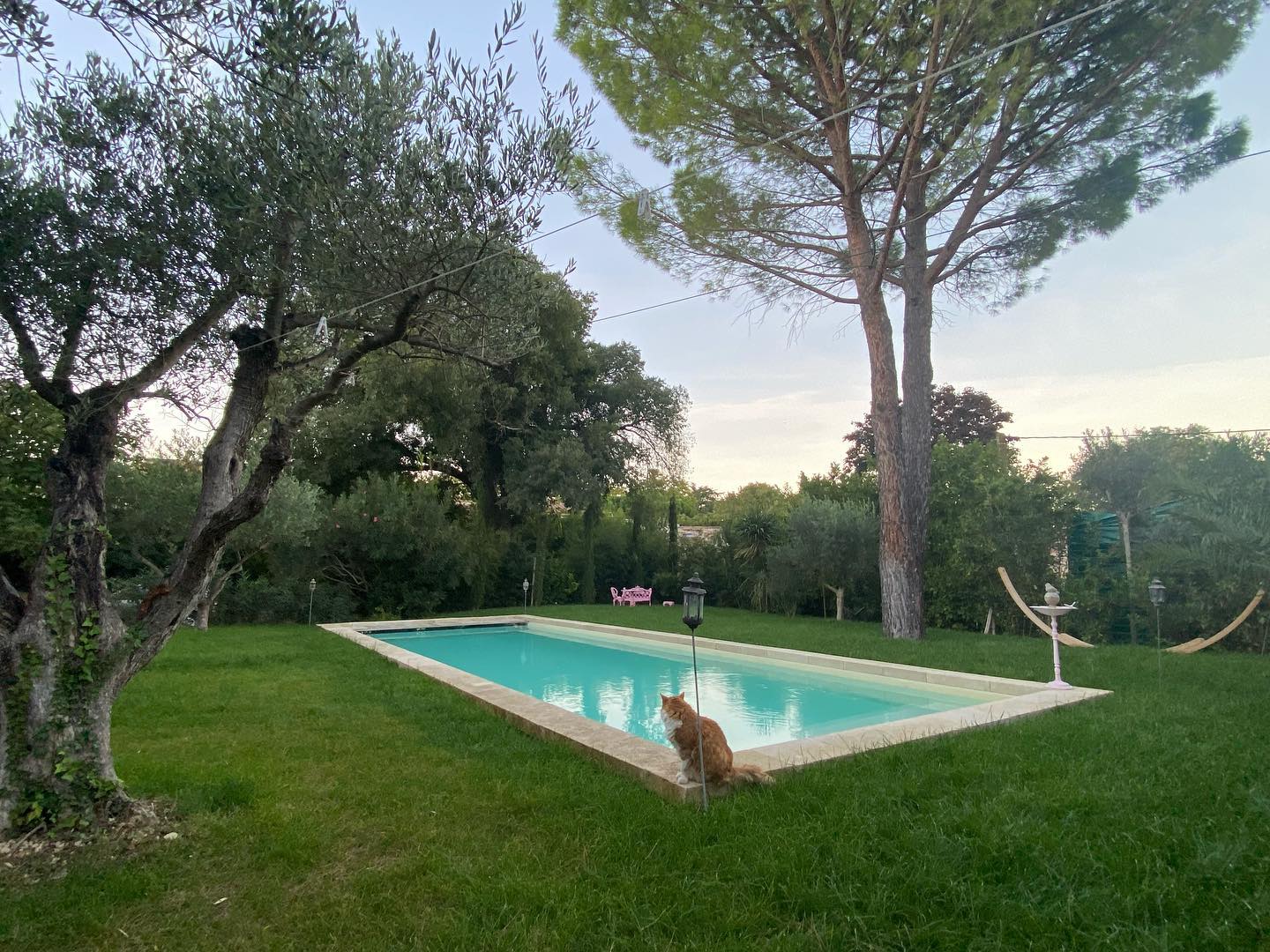 311119458_115829137947938_795230935626245064_n