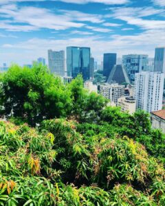 52446345_2075793075789855_3305612229222596608_n