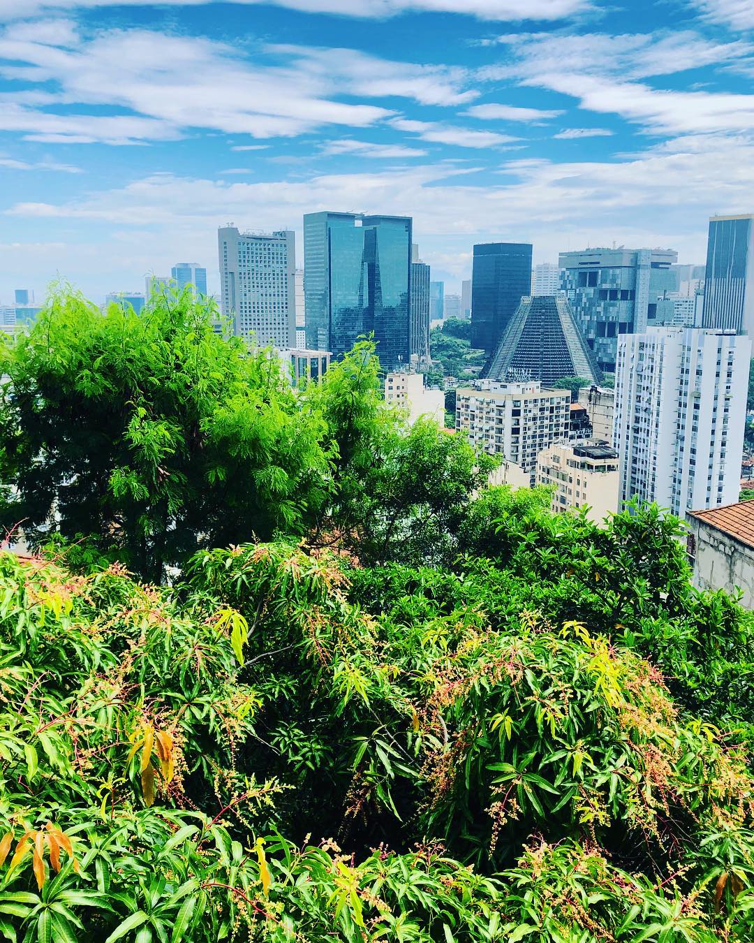 52446345_2075793075789855_3305612229222596608_n