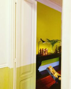 52800493_2077481952287634_4960694489669697536_n