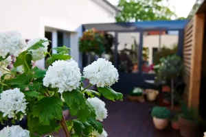 0e5af23c-83ab-4c81-b9ce-bf999dae5d57