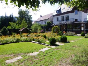 800x600_photo-M-745004778-3834194