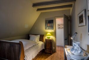 marronier-frene-740×500