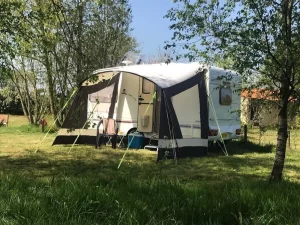 081f71_742f9a69abd745e590cbefd794b55ab9_mv2