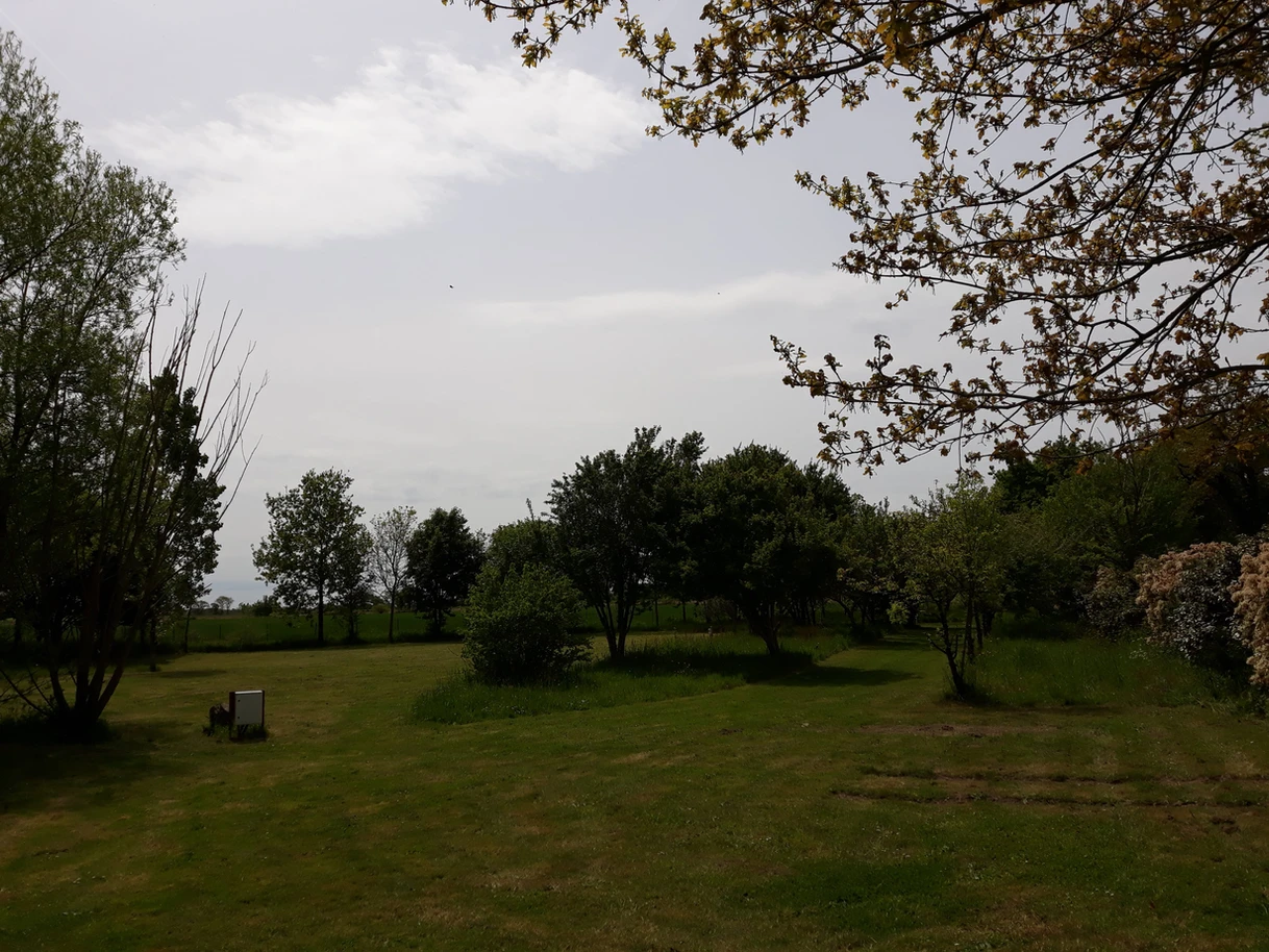 081f71_a41efabc767a487892f1b8cb8875e7f3_mv2_d_4128_3096_s_4_2