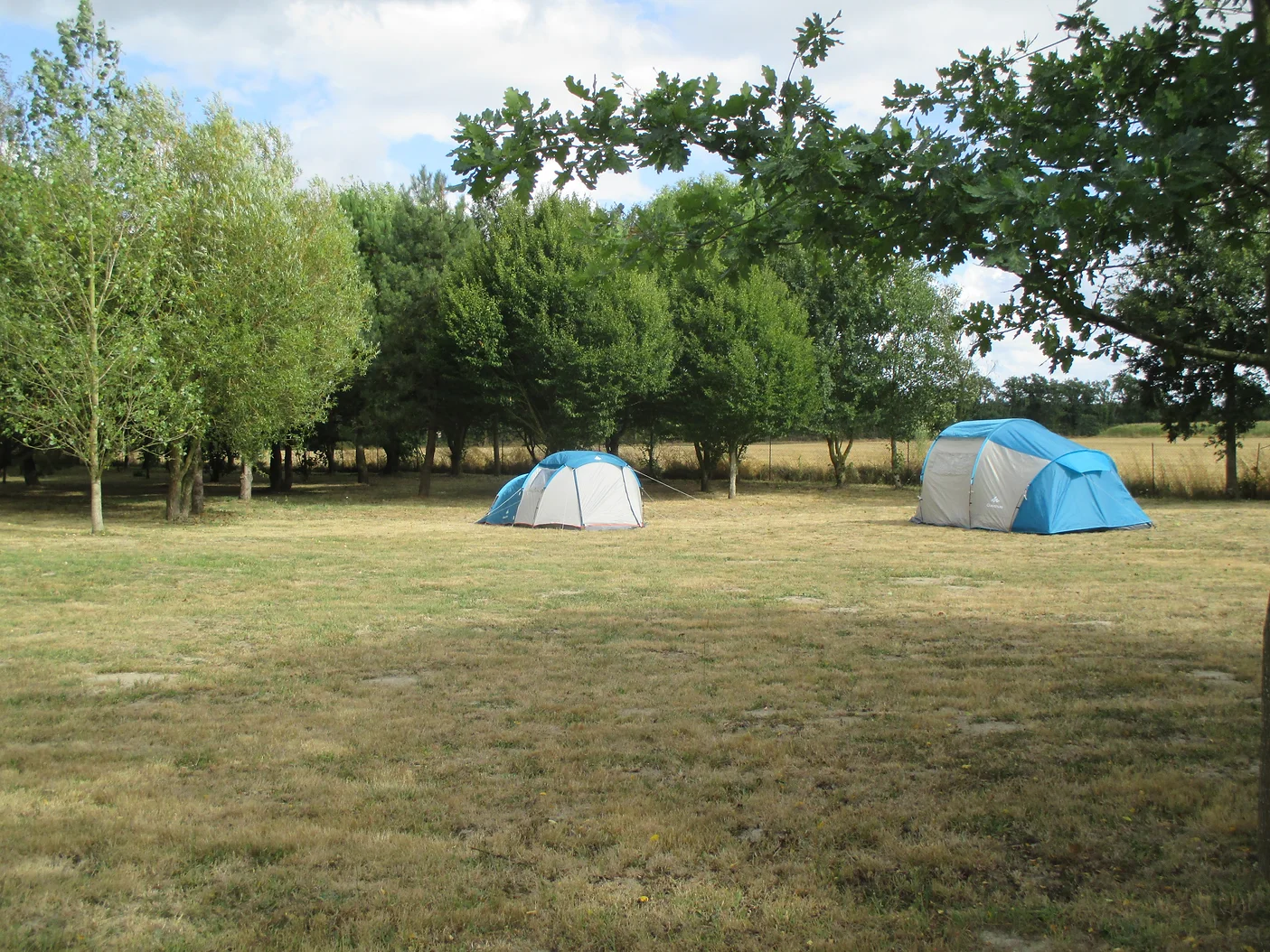 081f71_b77fc8fe74434b909df4b05610b94de8_mv2_d_4608_3456_s_4_2