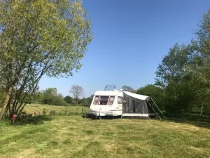 081f71_ecd07d60ad584e3f9562a211162914ac_mv2