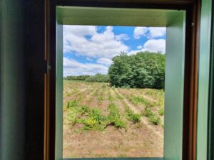 991647c3-faa3-4e05-9797-bcd4793dd980