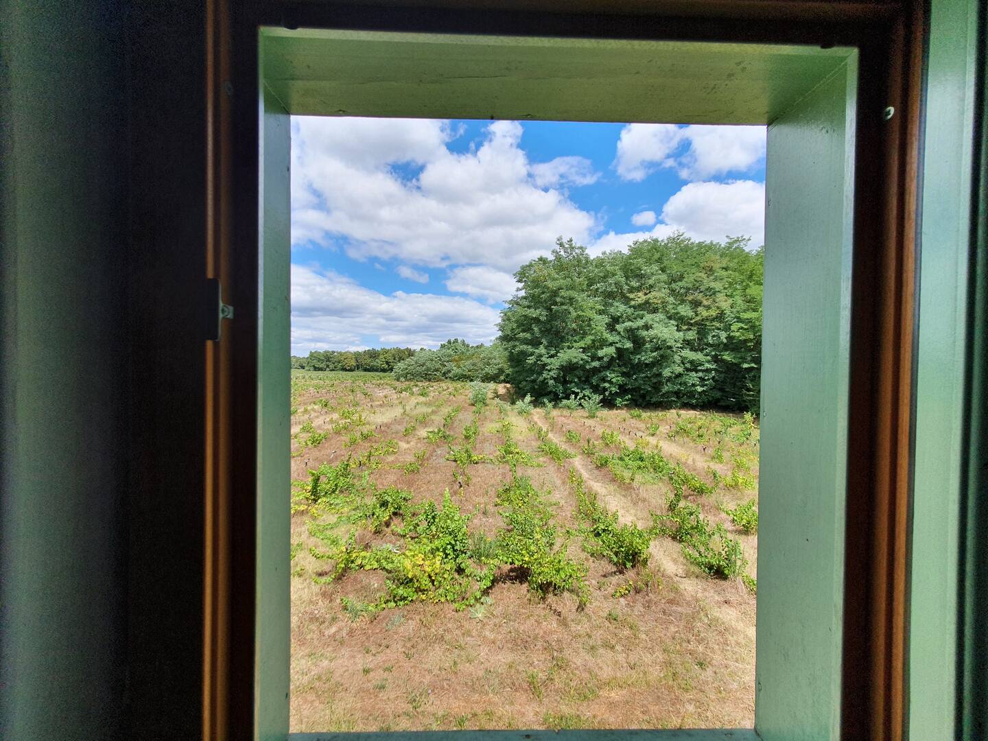 991647c3-faa3-4e05-9797-bcd4793dd980