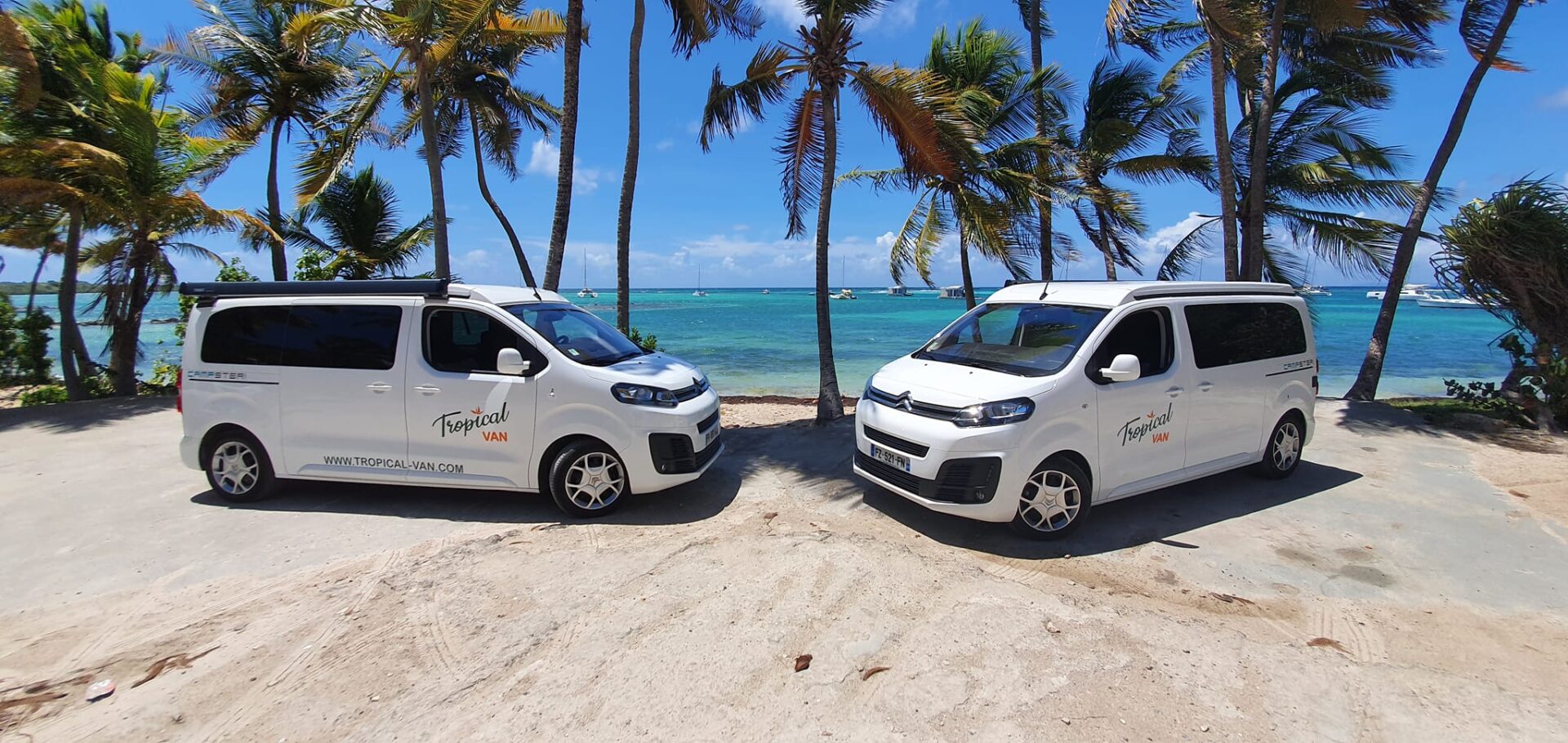 273510984_473906244331820_6061101031455878297_n