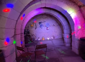 f819d9_8138bf0773334cebae5f4fd6b28f09e1_mv2