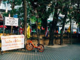 Faire du shopping de nuit à Chiang Mai