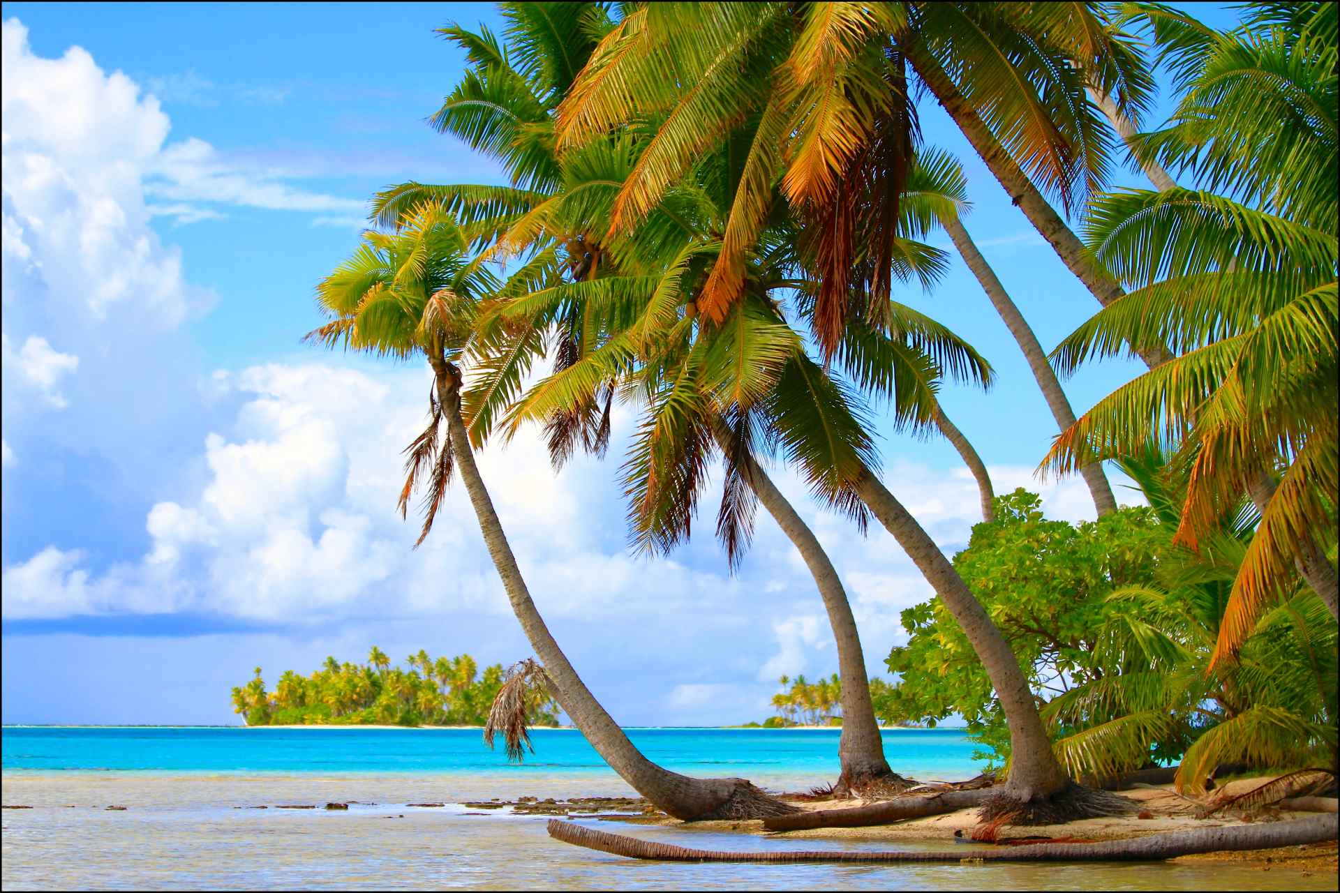 Rangiroa, l’un des plus beaux lagons à faire lors de votre croisière