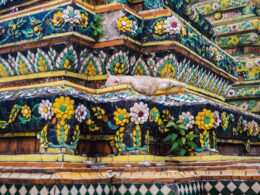 Top 8 des musées à visiter de Bangkok