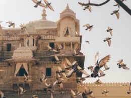 Udaipur : 8 attractions touristiques à visiter