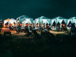 Vie nocturne à Goa : 5 clubs où vous pouvez faire la fête