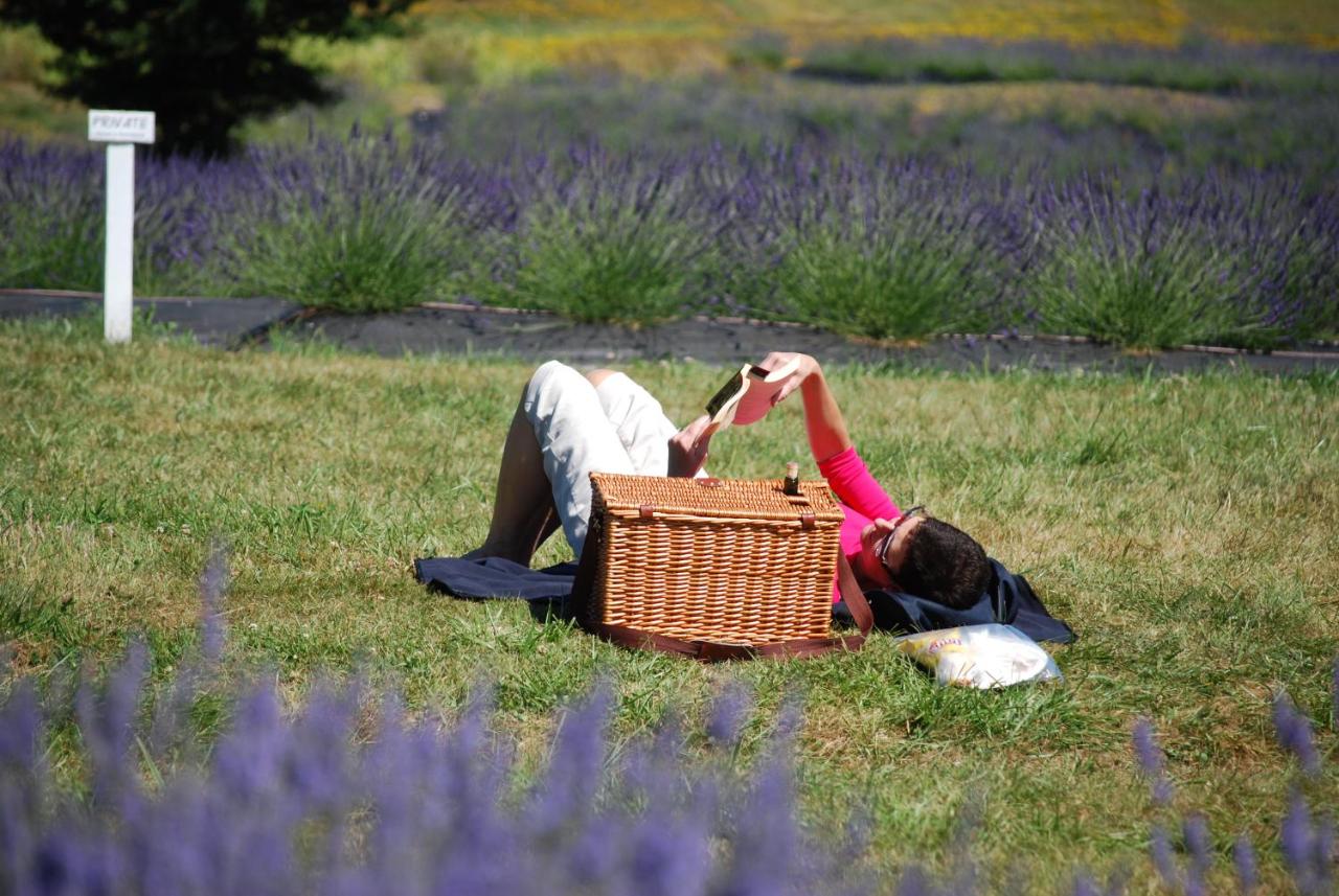 Bird Rock Hotel est un hôtel gay friendly à Friday Harbor dans l'État de Washington aux États Unis