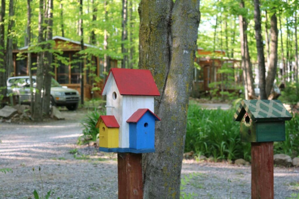 Camping Plein Bois est un camping gay à Sainte-Marthe à Montérégie au Québec