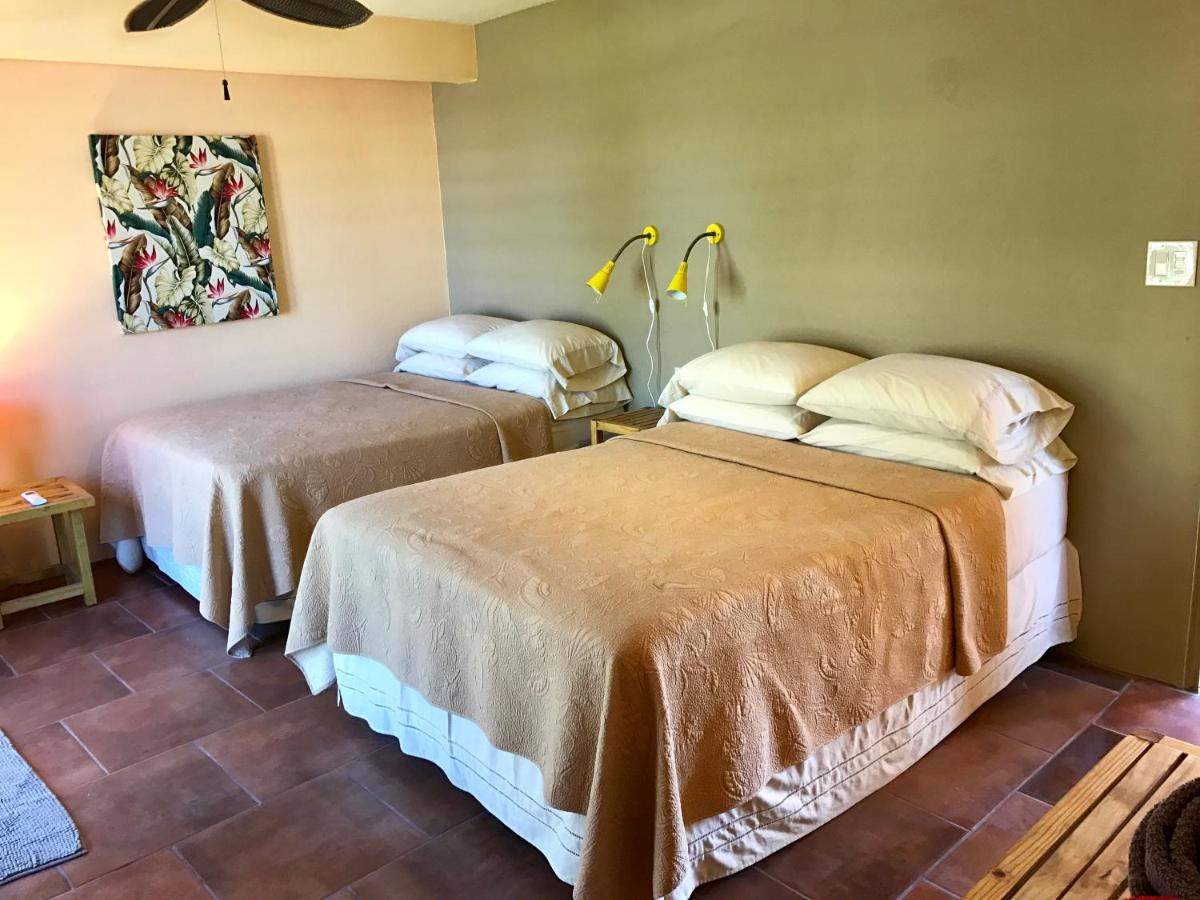 Casa de Amistad est une maison d'hôtes gay friendly à Vieques de Porto Rico